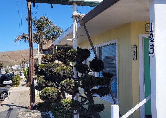 Cayucos Hotel | Cypress Tree Motel