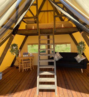 Caerleon Other | Daffodil Safari Tent
