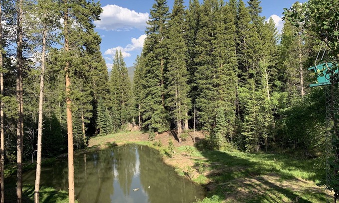Peak 8 Cabin | DAILY WILDLIFE - BEAR, MOOSE, DEER - 3BR/3BA - SKI IN/SKI OUT - EARLY CHECKIN