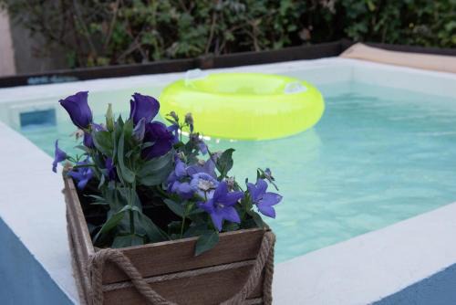 Tsagarada House | Dandy Villas Tsagkarada - Blue Pansy - Mini Pool