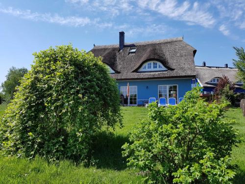 Ostseebad Prerow Apartment | Daniela 2