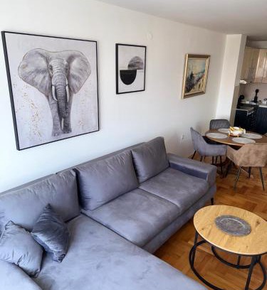 City Center Apartment | DarViva Apartment Niš, center, private garage parking, river view