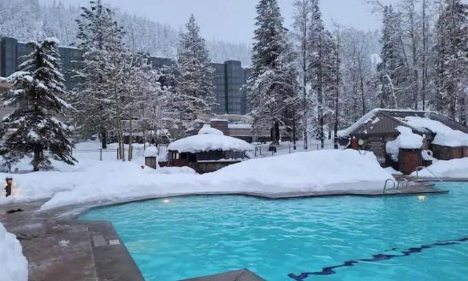 Olympic Valley Resort | Dav’s Plush Ski-in/Ski-out Studio Condotel with Forest View @ 400 Squaw Creek Rd