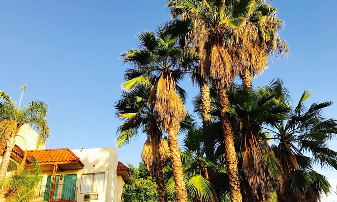 Southwest Anaheim Hotel | Days Inn by Wyndham Anaheim Near the Park