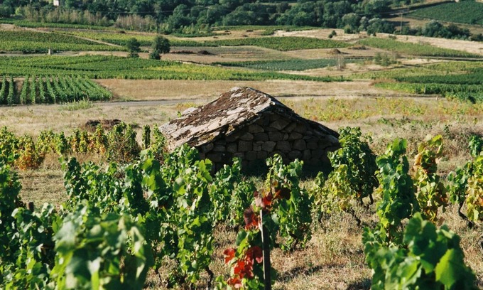 Chaintre House | De Pierre et de Vigne