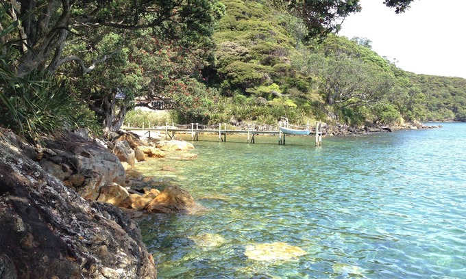 Whangaparapara Harbour House | Deep Blue Haven - Natures idyllic and peaceful summertime paradise