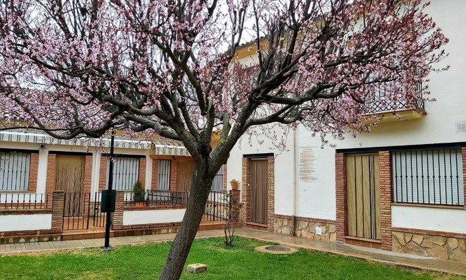 Arroyo Frio House | Del Romero