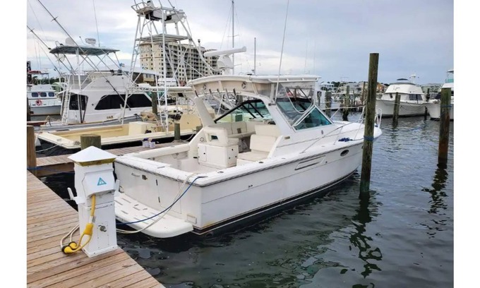Southwind Boat Rental | Delightful 1-Bedroom Boat w/Bay View