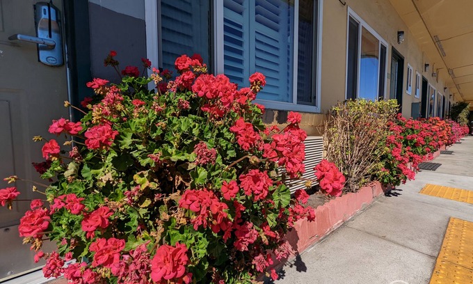 South San Francisco Hotel | Deluxe Inn
