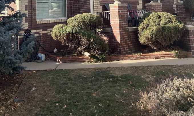 West Highland House | Denver Tudor Walk to great shops and restaurants 1.5 miles from downtown Denver