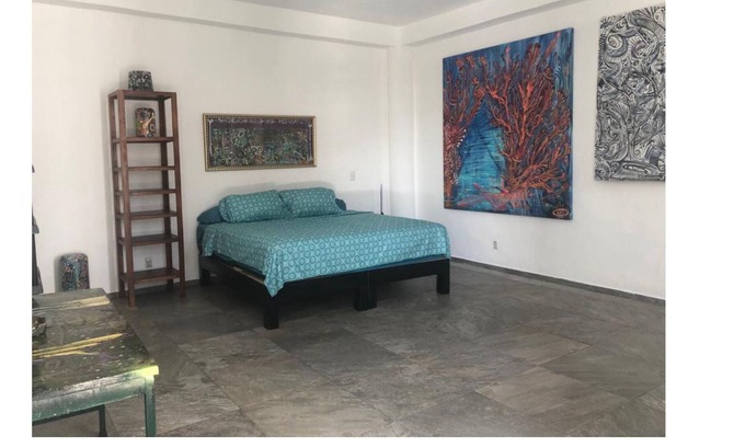 Lazaro Cardenas Apartment | Departamento Céntrico Lleno de Arte