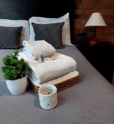 Puebla Apartment | Departamento en Cholula Pue La Pirámide