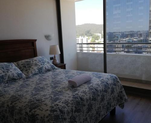 Concepcion Apartment | Departamento Freire 1062