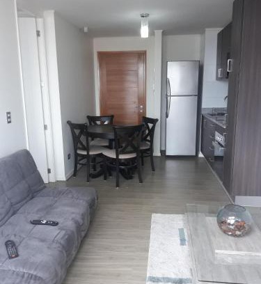 Valdivia Apartment | Departamento Rio Calle Calle
