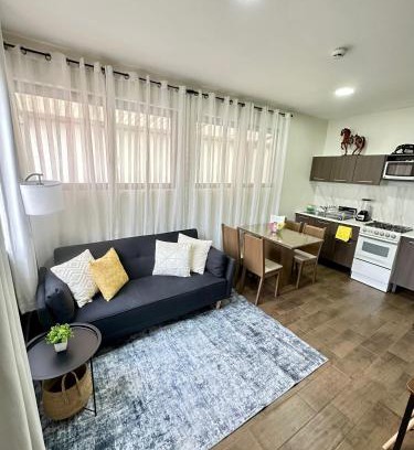 Roma Sur Apartment | Departamento Roma 1 CDMX