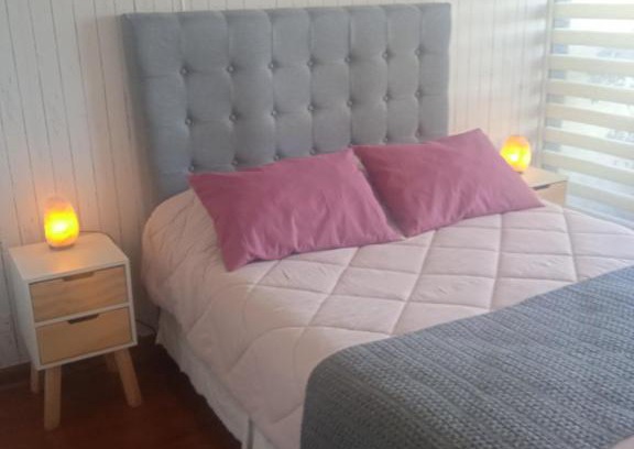 Bellavista Apartment | Departamento Santiago Centro