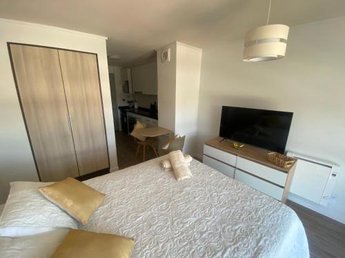 Valdivia Apartment | Departamento Studio Isla Teja