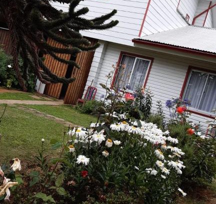 Valdivia House | Departamentos Berna