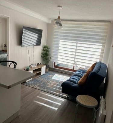 Chillan Apartment | Depto Nuevo Chillan Centro 2D-2B-E privado