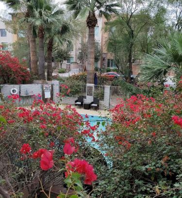 South Scottsdale Apartment | Desert Rose Villas - Private One Bedroom in Old Town Scottsdale