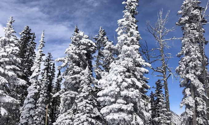 Moose Wilson Road Condo | Desireable Aspens' Berry Patch Condo Creekside Secluded New Bathroom & Floors