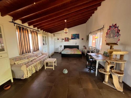 Dasaki Achnas House | Digital Detox with 100 Animals Nature Stay