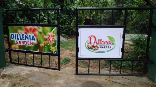 Yatiyantota House | Dillenia Garden