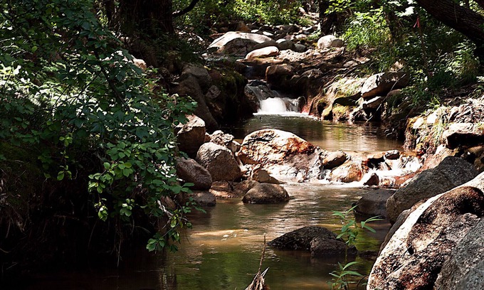 Broadmoor Cabin | DIRECTLY on Cheyenne Creek - CENTRAL AIR -Walk to Broadmoor