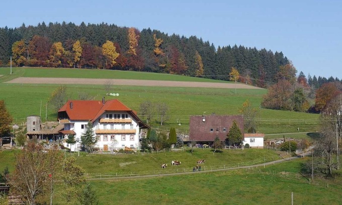 Biederbach Apartment | Dischhof - vacation apartment 90sqm, 3 bedrooms, max. 7 pers., 1 - 7 persons