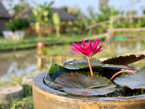 Phong Dien House | Discovery Mekong local's life - Breakfast TwoBoatTours Included for 2nights