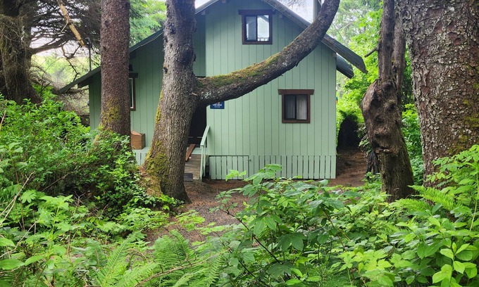Copalis Beach House | Dog-friendly beachfront cabin with ocean views & private path to beach