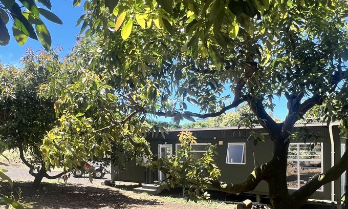 Aongatete Cabin | Dog friendly, rural, close to beaches, cafes, bush walks and golf courses