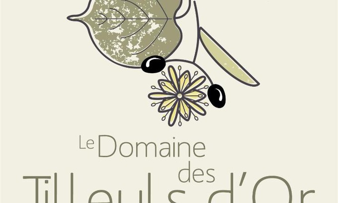Saint-Cezaire-sur-Siagne House | domaine des tilleuls d'or