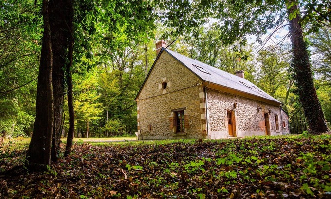 Cour-Cheverny House | Domaine de Sérigny, 19th century, 60 hectares, three gites. Ideal for families and friends.