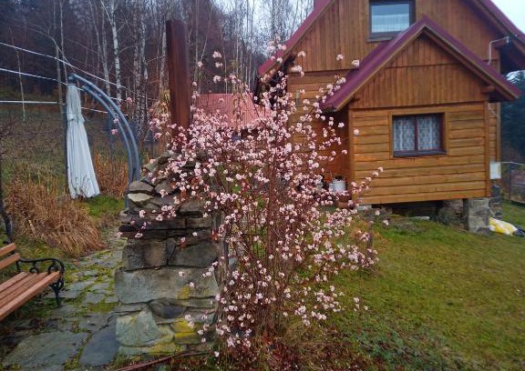 Milowka House | Domek na Zabawie