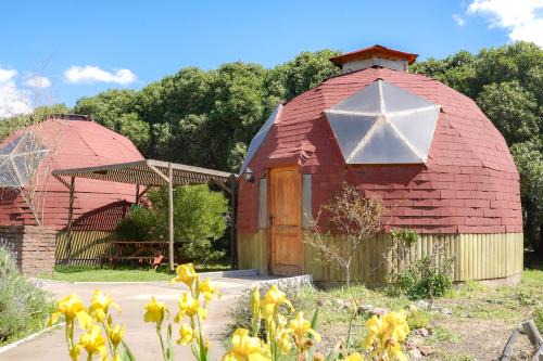 Hijuelas Cabin | Domos Ocoa