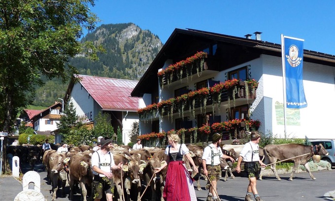 Bad Hindelang House | Doppelzimmer Standard - Hotel Restaurant Amadeus