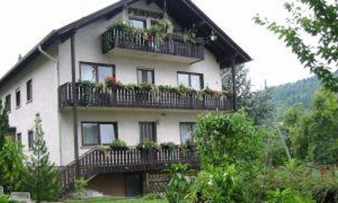 Idar-Oberstein House | Double room shower / WC with balcony - Pension Seibel