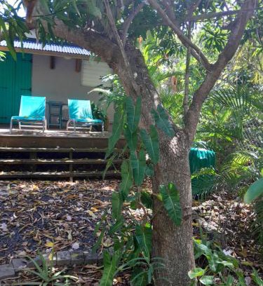 Sainte-Rose House | Douceur de la mer des caraibes