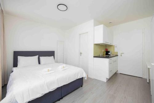 Sihlfeld Apartment | Downtown Deluxe Studio with Queen Bed BE-35