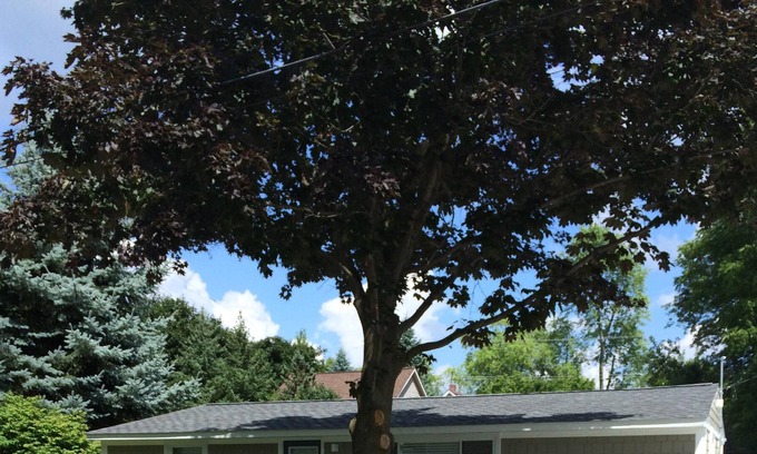Lake Orion House | Downtown Lake Orion House ~ Brand new kitchen and bath!