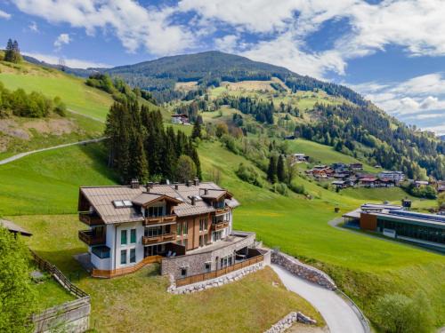 Viehhofen Apartment | Drei Berge Top 2