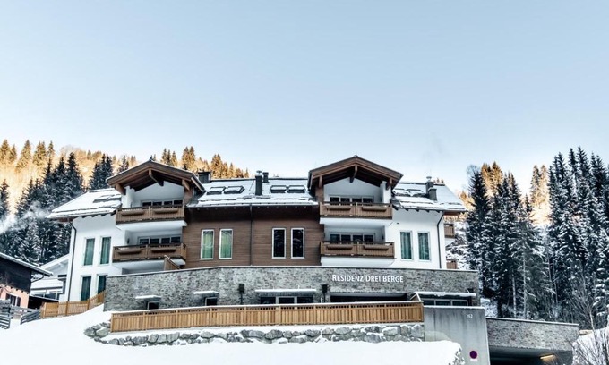 Viehhofen Apartment | Drei Berge Top 7