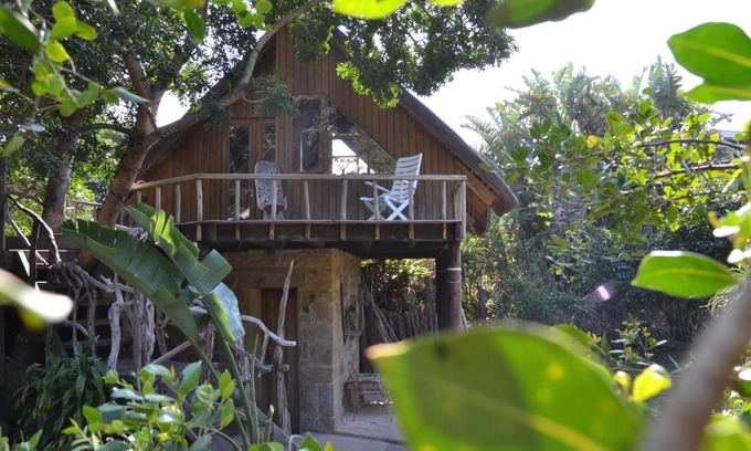 Berea House | Driftwood Treehouse