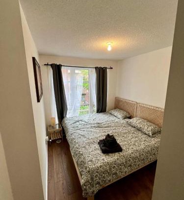 Junction Triangle House | DT Townhome 1BR steps to transit