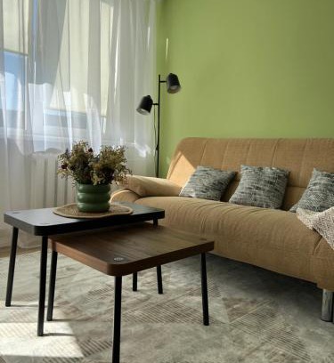 Siauliai City Center Apartment | DvaroStudio jaukus butas centre self-check-in