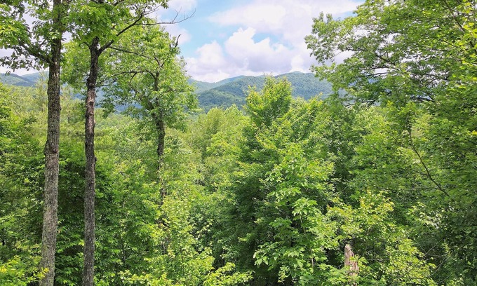 Hiawassee Cabin | Eagles Wings Hideaway with Spectacular Views