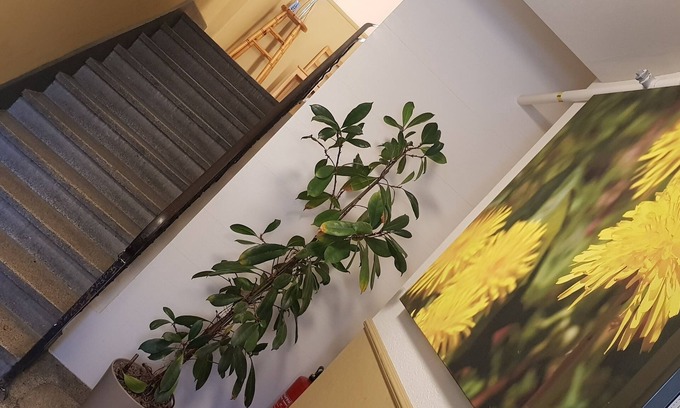 Littau Apartment | Easy-Living Apartments Lindenstrasse 21