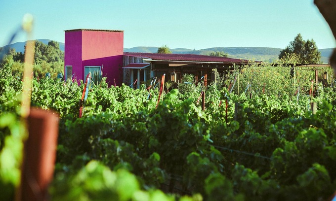 Valle de Guadalupe Cottage | Ecléctico Guadalupe