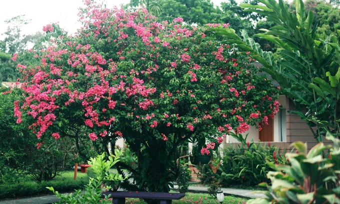 La Fortuna Hotel | Eco Arenal Hotel